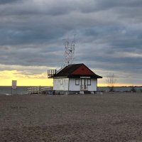 Sue.Cee Q. 🇨🇦🍁🎸