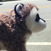 Randomhacksofscience