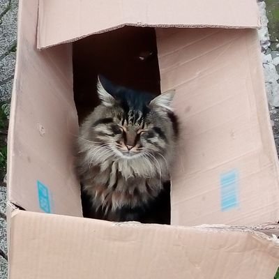 MirkoRotenberger🇩🇪