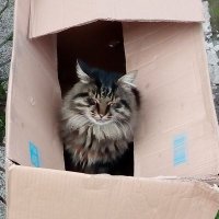 MirkoRotenberger🇩🇪