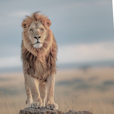 Top-Granny@top1762840ozg