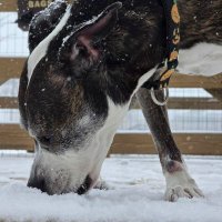 𝔹🏀🐰𝕞𝔹𝕣𝕚𝕘𝕘𝕤