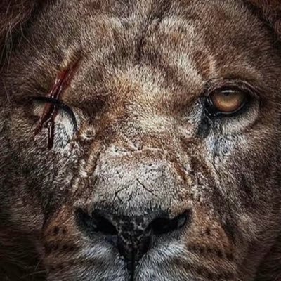 پری نیک سرشت