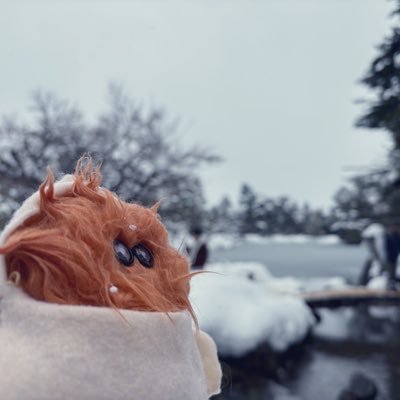 わかけ　⇒NEXT ワンオク×夜遊 4/5