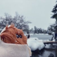 わかけ　⇒NEXT ワンオク×夜遊 4/5