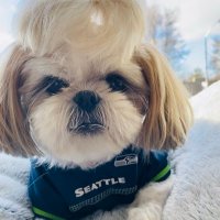 ᗷƐᑎƬᘔ 🤍s @fluffypupalice