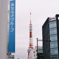 Sophie Joubert de la Mendes