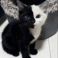 PumaTaino🇵🇷 #Taurus Finding Yourself In Someone"