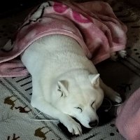 みや美＠柱島泊地