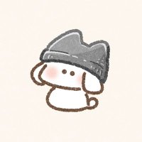 ちゃぬ✦ฺ₊˚