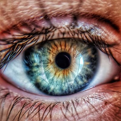 邪魔ですか？どきなさい！