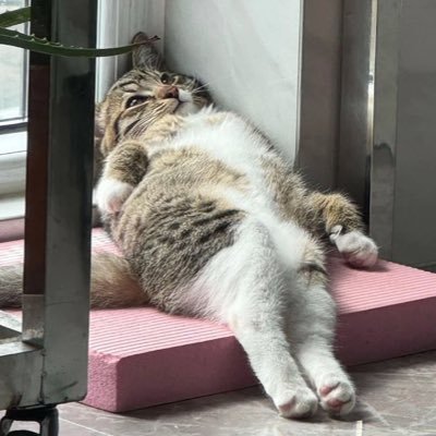 บินนี่✨