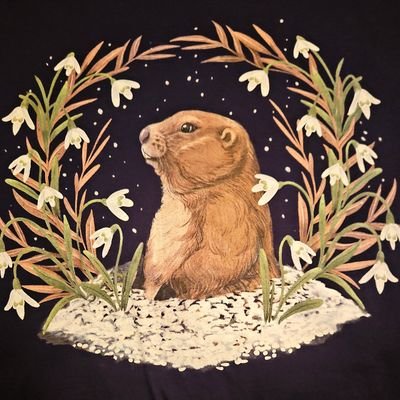 I read and I know things 🇺🇸🚀🌈🌊❤️☮️