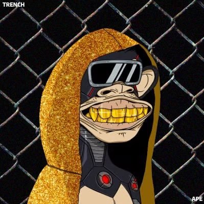Trench Ape Solana Club 🦍⛓️ MINT LIVE
