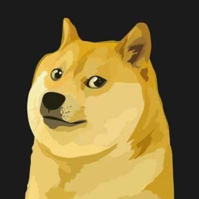 Dogecoin.meme🤌