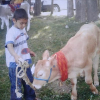 serborîya çêleka sêgavderengmayî