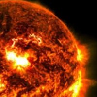 Cercatore del bosco Io voto NO