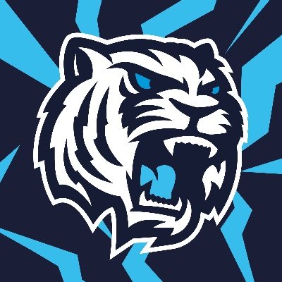 Bílí Tygři Liberec