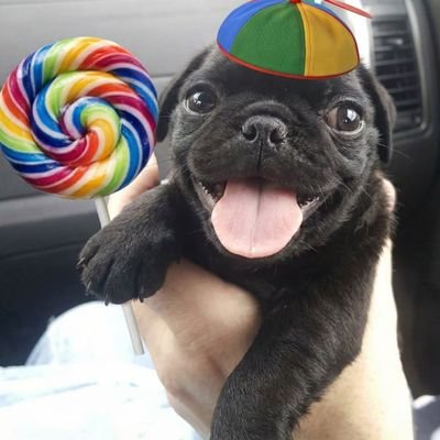 🦇Lissa das Alt⛧⃝𓄃