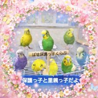 🐣ちーたん🐣