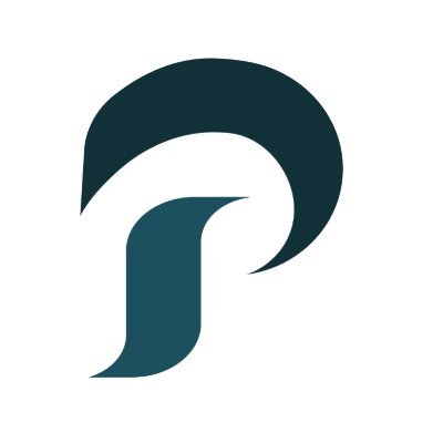 Pitron Tech Solutions