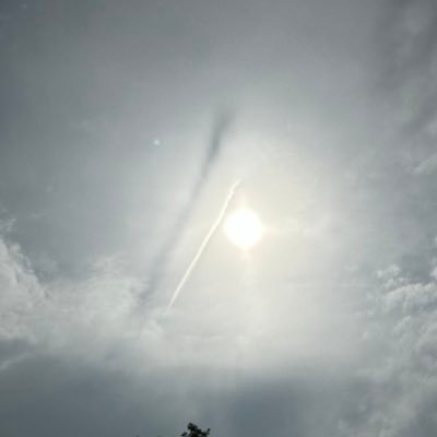 View from the terrace