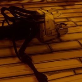 🌘🎶Dusk🪕🌒