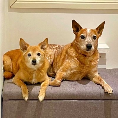 Bridie (EBK)❤️💛🖤🍉🏳️‍🌈🏳️‍⚧️✌🏽👊