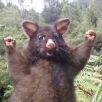 Cannot resolve username