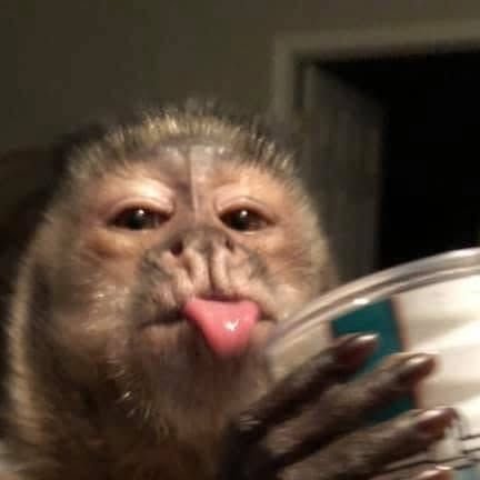 aja. y yo nací ayer