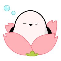 AINE（あいね）｜Studio AINE