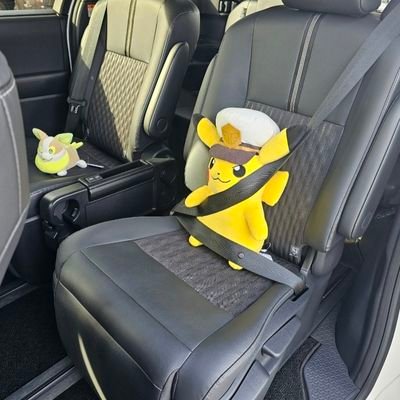 ポケモンと劇用車好きさん