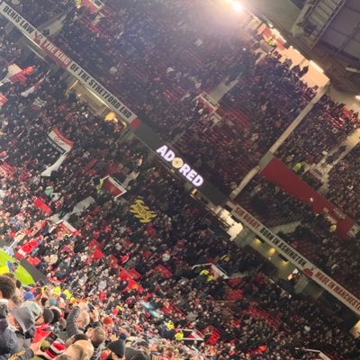 Mark 🔰🇾🇪🏴󠁧󠁢󠁥󠁮󠁧󠁿