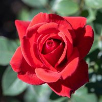 undєrthєrσsє🌹✨🔑𓂀📖✨⛸️✨🪽