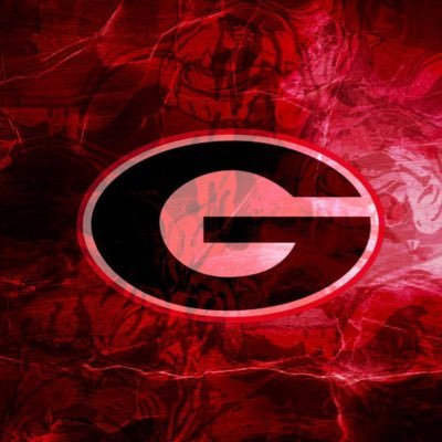 Dawgs/celtics/pats fan