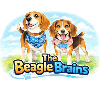 The Beagle Brains