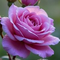 feifei7777(互粉）