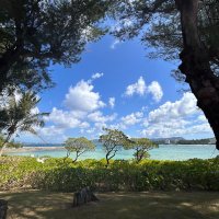 From a corner of the Far East