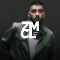 Zayn Chile 🇨🇱 🐆