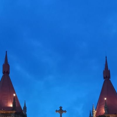 bookishMarguereet✿