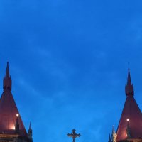 bookishMarguereet✿