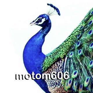 motom606 モトム 🧊