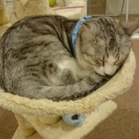 かっちゃん☆パソコン