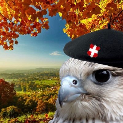 Faucon Alpin 🏔️