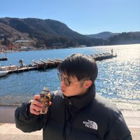 白銀の豚🐽 silver pig