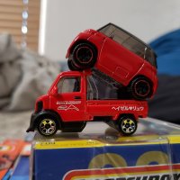 Dragon (Professional Birb Watcher) Fish