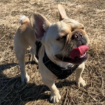 よろしく生ビール