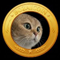 BozaiCoin