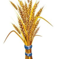 Yohannes Gashama🇪🇹