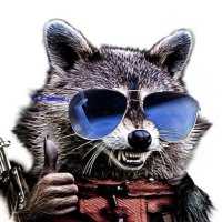 Rock - NAFO Raccoon
